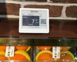 100亿的市场，ESL能够实现吗？